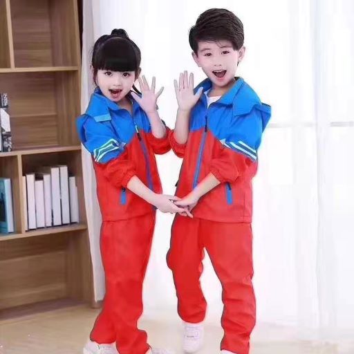 临湖校服定做
